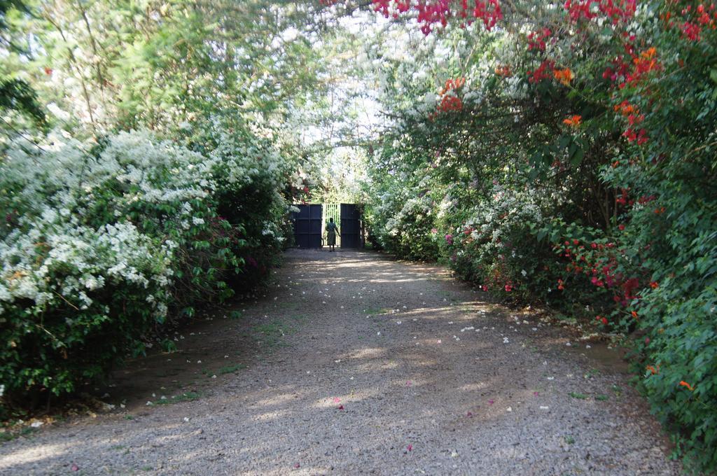 Meru House Lekisilai Arusha Kültér fotó